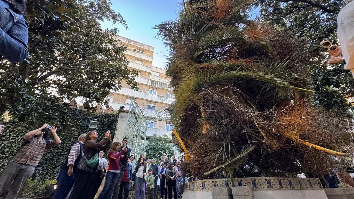 Córdoba vive con Flora otro 'mayo festivo' en pleno otoño