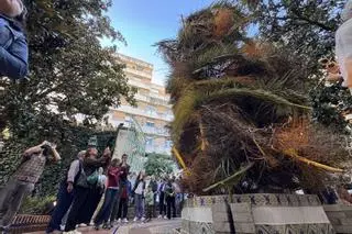 La 7ª edición de Flora se salda con 200.000 visitas y un crecimiento de un 30% en sus actividades