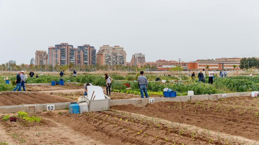 Mislata abre el proceso de inscripción a los huertos urbanos