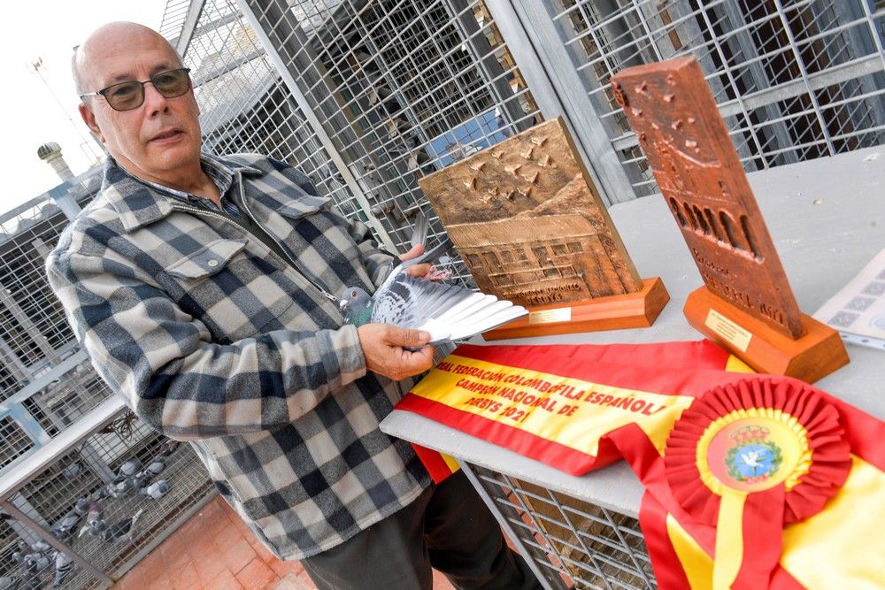 Isidro Suárez, ganador de un premio nacional de colombofilia