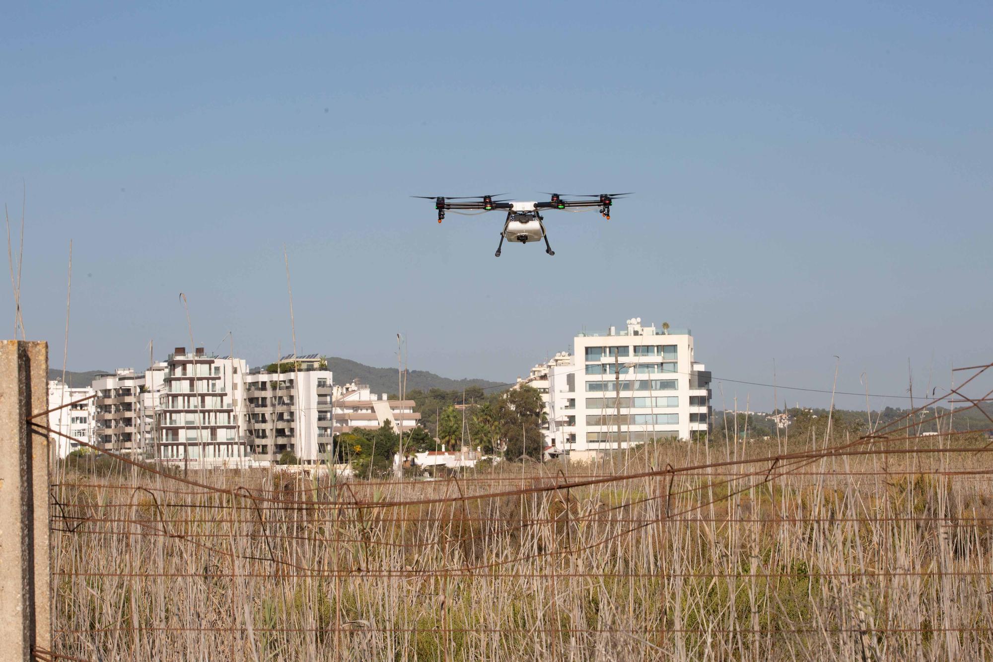 Drones contra los mosquitos de Ibiza