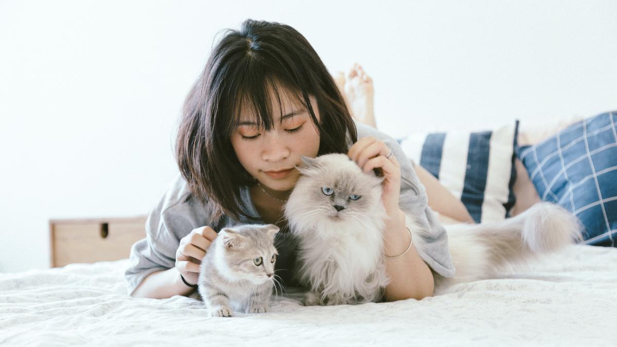 Una joven acaricia a dos gatos domésticos.