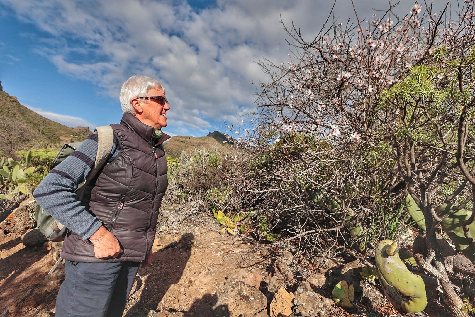 Rutas para disfrutar del almendro en flor organizadas por el Ayuntamiento de Santiago del Teide.