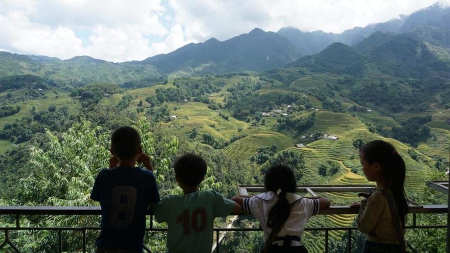 Cuatro niños observando la naturaleza.