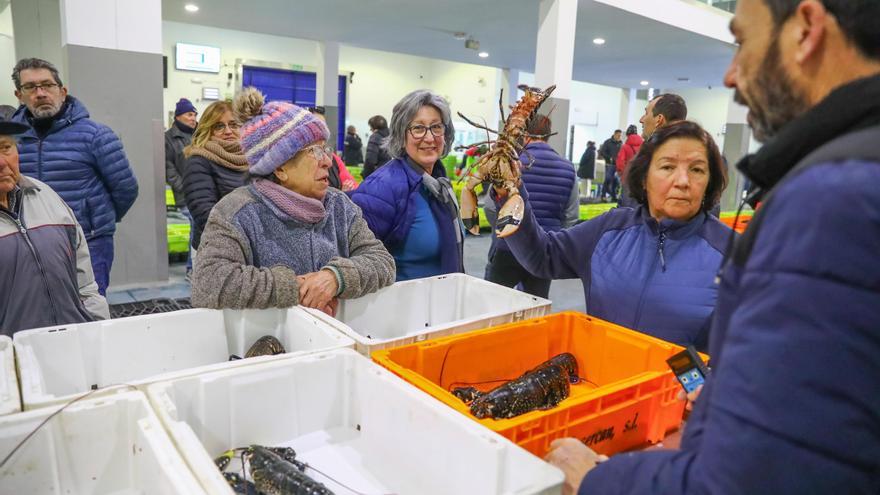 Así se comportaron peces, bivalvos, crustáceos y cefalópodos