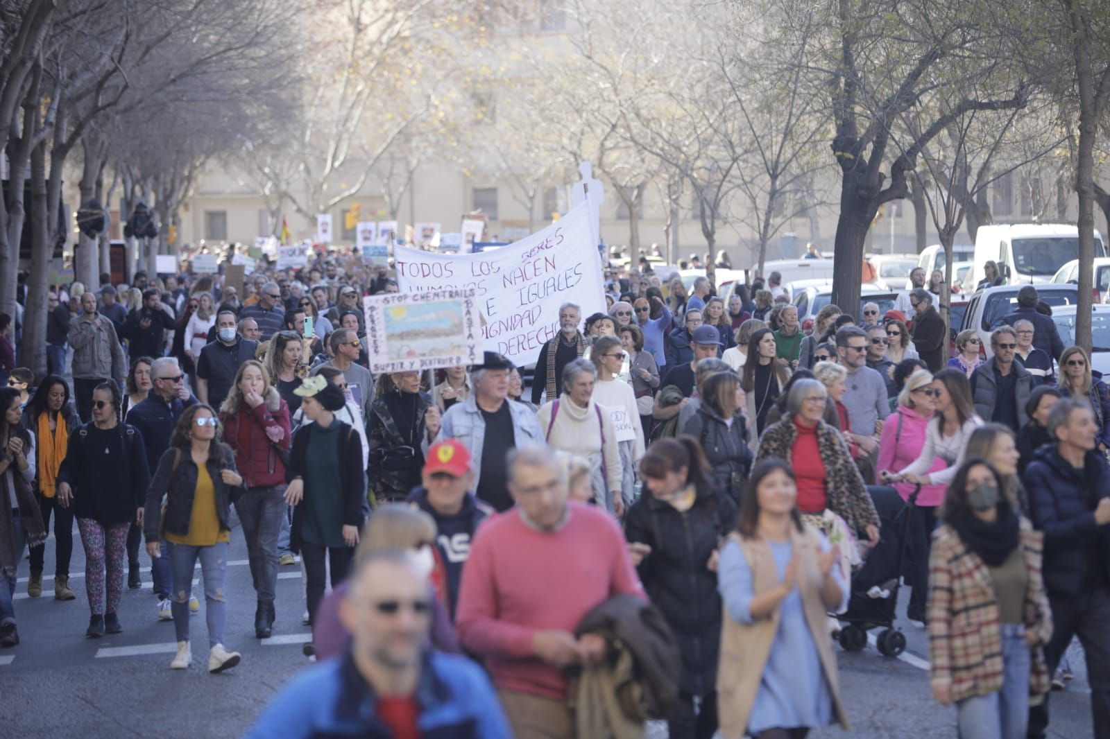 Cerca de 3000 personas se manifiestan en Palma contra el pasaporte covid