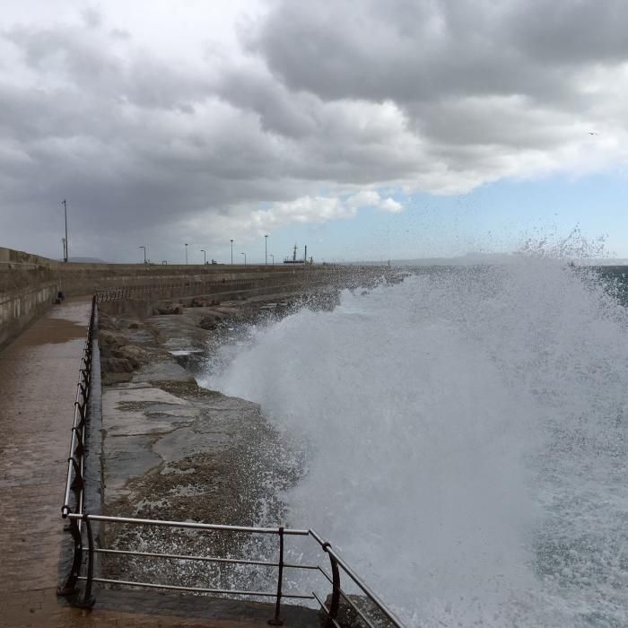 Mit einer Windgeschwindigkeit von bis zu 80 Stundenkilometern ist am Sonntag (5.2.) von Westen her ein Sturm über Mallorca gefegt. Die Wellen türmten sich bis auf Höhen von vier Metern auf.