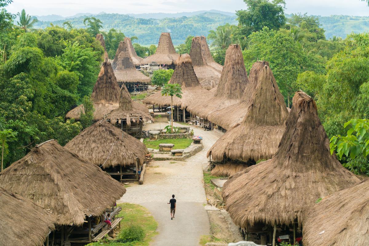 Las cabañas tradicionales en el Kampung Adat Praijing (Sumba, Indonesia) son estructuras icónicas conocidas como Uma Bokulu o Uma Mbatangu, caracterizadas por sus techos altos y cónicos hechos de paja.