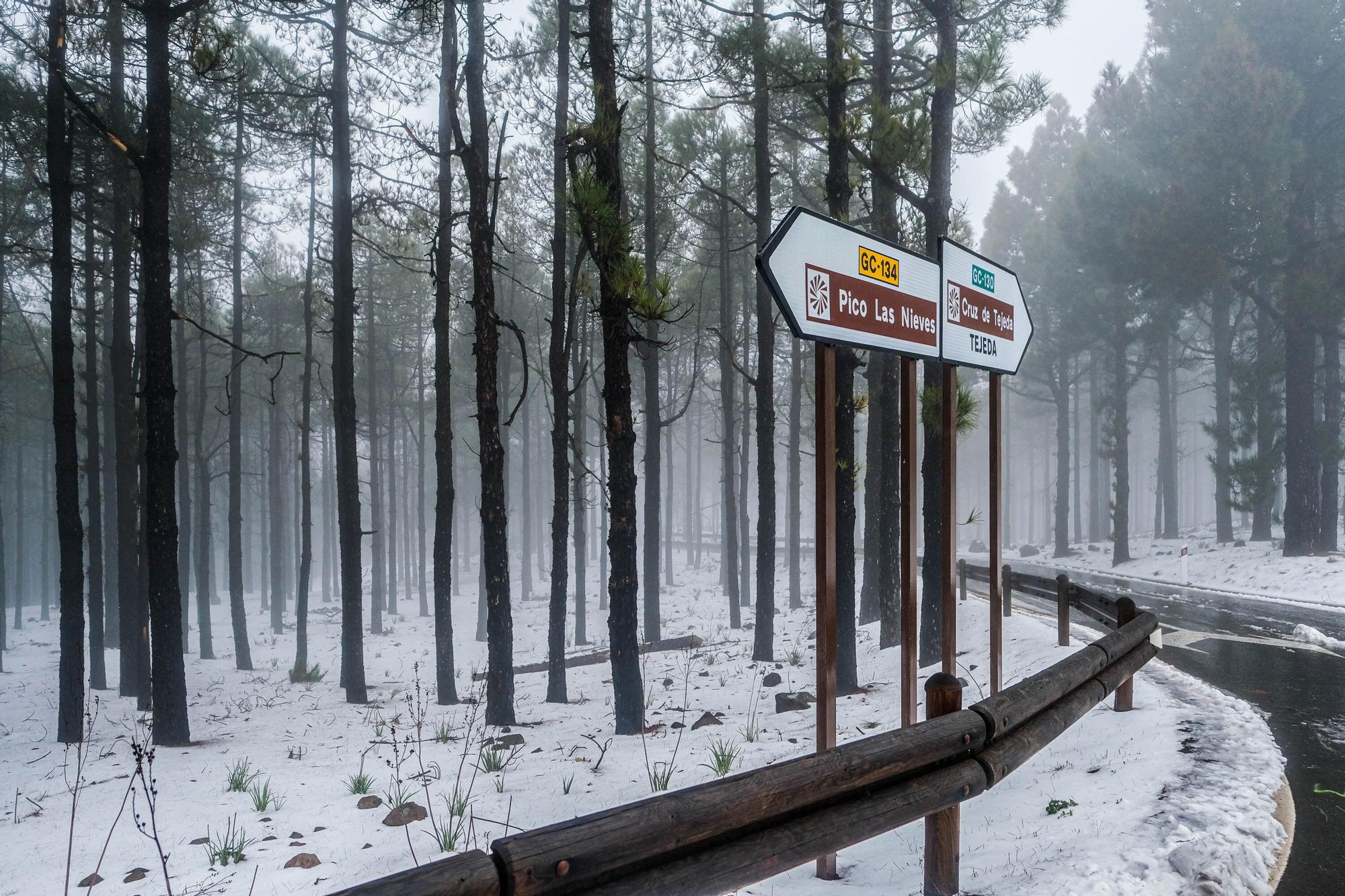 Nieve en la cumbre de Gran Canaria (15/03/2022)