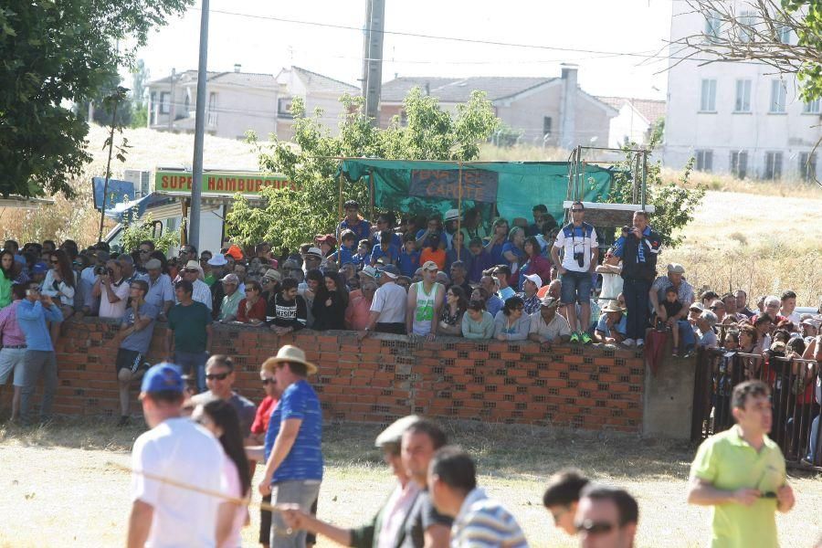 Fiestas en Zamora: Segudos espantes de Fuentesaúco