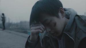 estrenos de la semana trailer de an elephant sitting still
