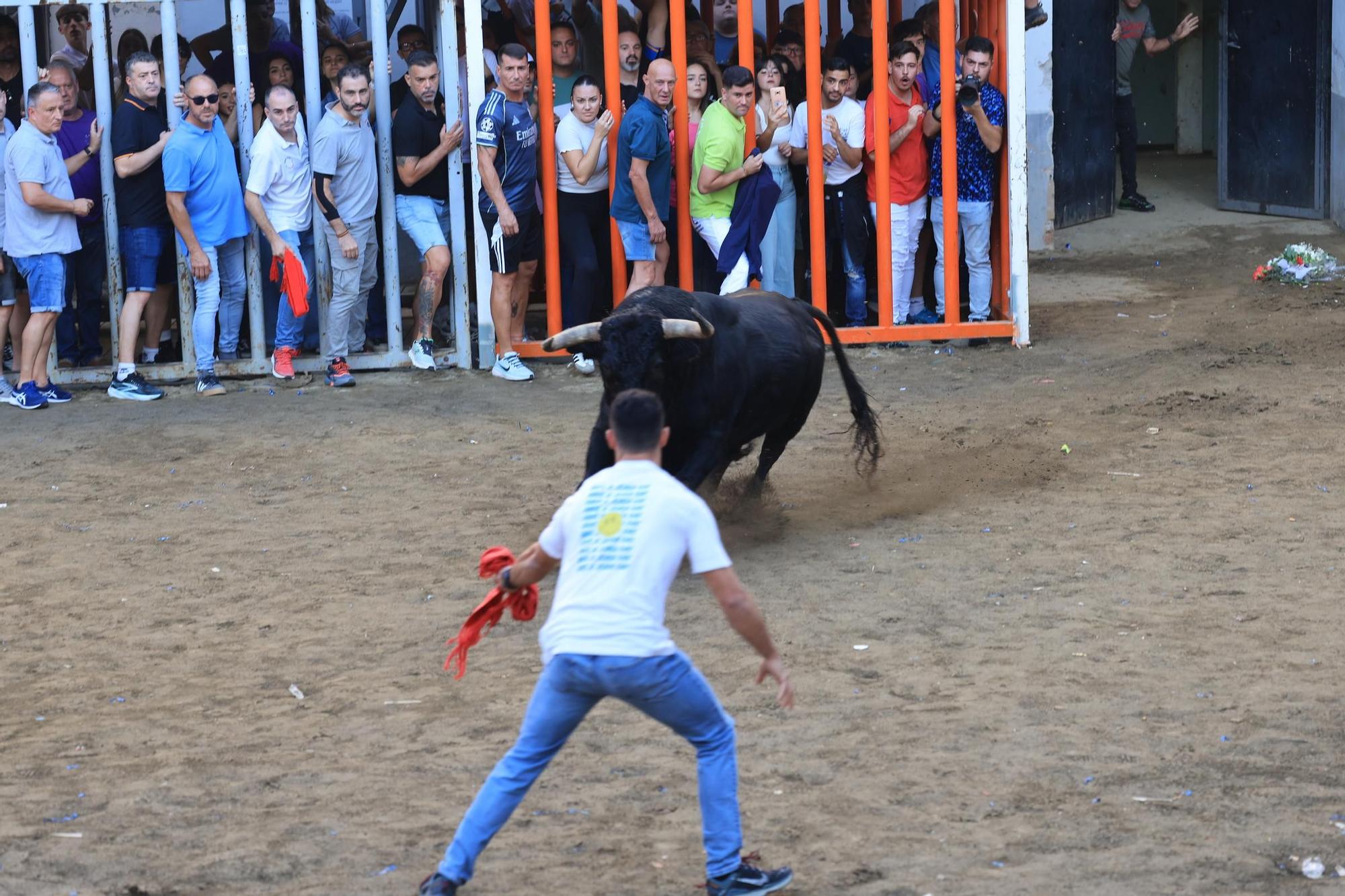Las imágenes del primer encierro y de las exhibiciones taurinas de las fiestas de Almassora