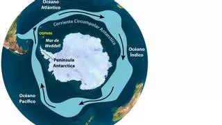 La corriente más poderosa de la Tierra está creciendo y podría acelerar el cambio climático