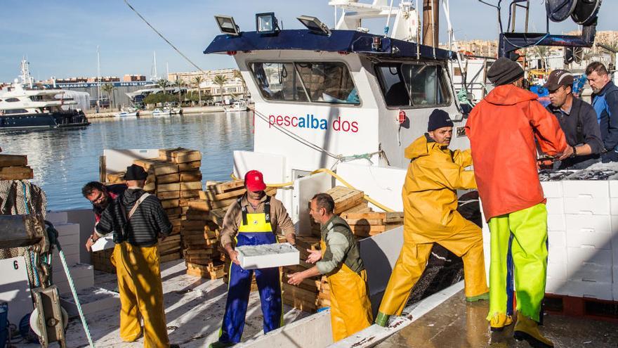 El Consell aprueba ocho millones de euros para la mejora de los puertos pesqueros