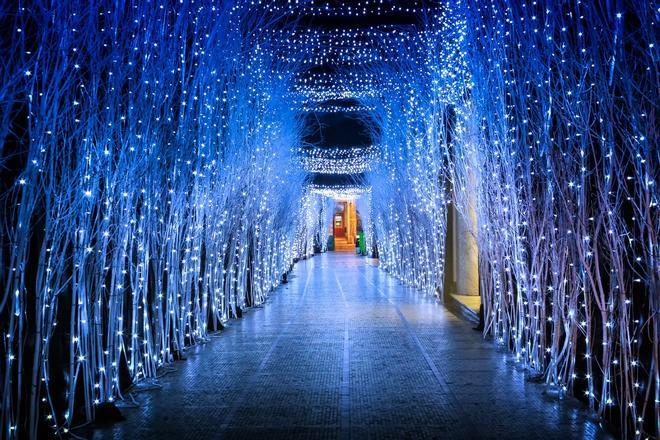 Luces de Navidad en Zagreb, Croacia