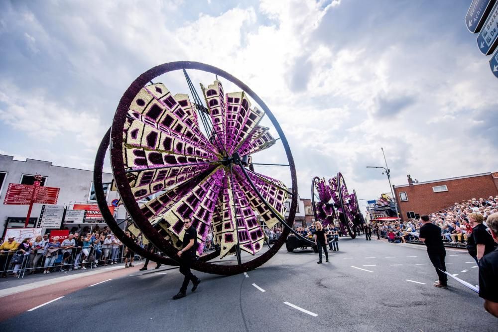 Batalla de Flores holandesa de 2017