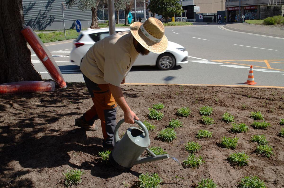 Regant la vegetació que van plantar