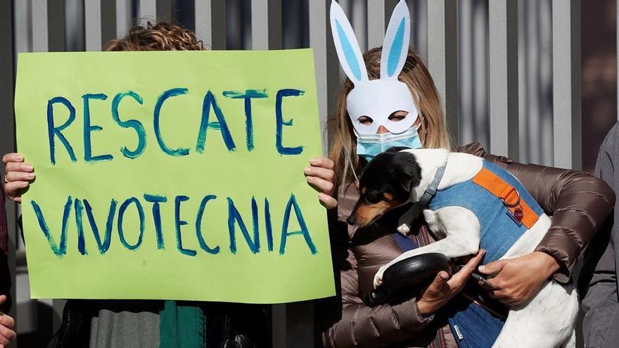 Denuncien el sacrifici de 32 gossos després d&#039;un experiment en un laboratori de Barcelona