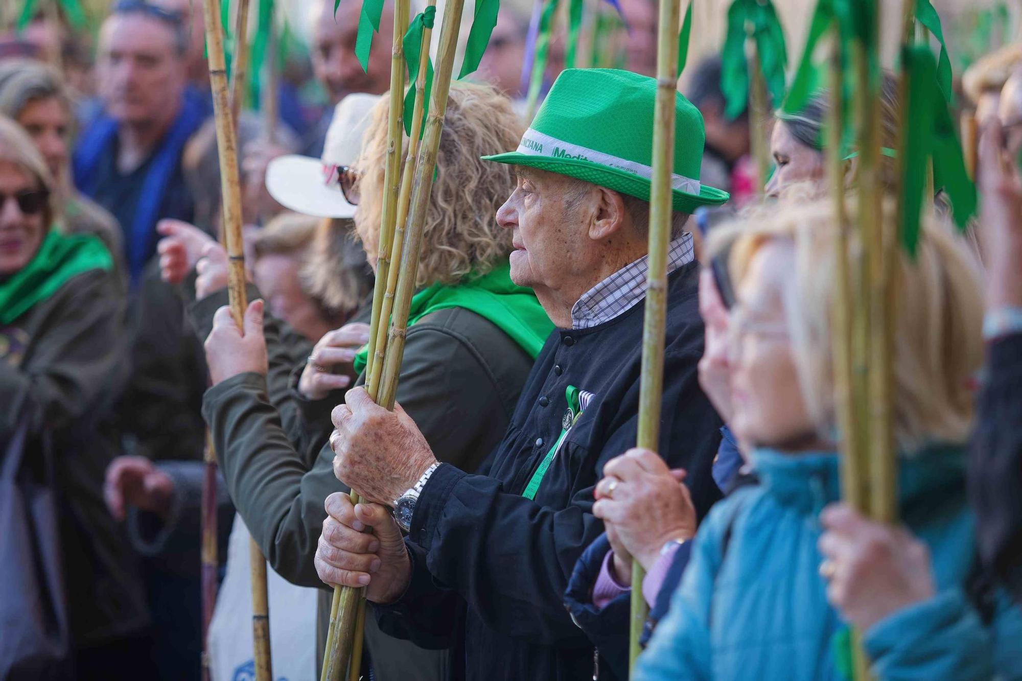Las mejores imágenes de la Romeria a la Magdalena