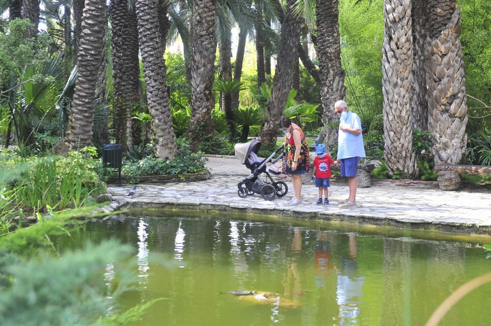 El Jardín Huerto del Cura reabre tras tres meses