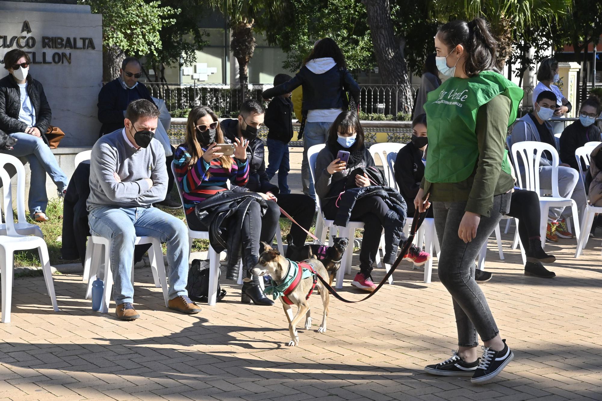 Primera jornada del VI Festival de la Adopción de Castelló