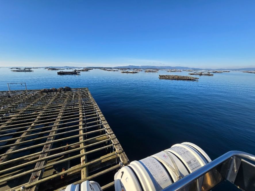Así se despidió el año en el catamarán restaurante Fly Delfín, de Cruceros do Ulla Turimares.