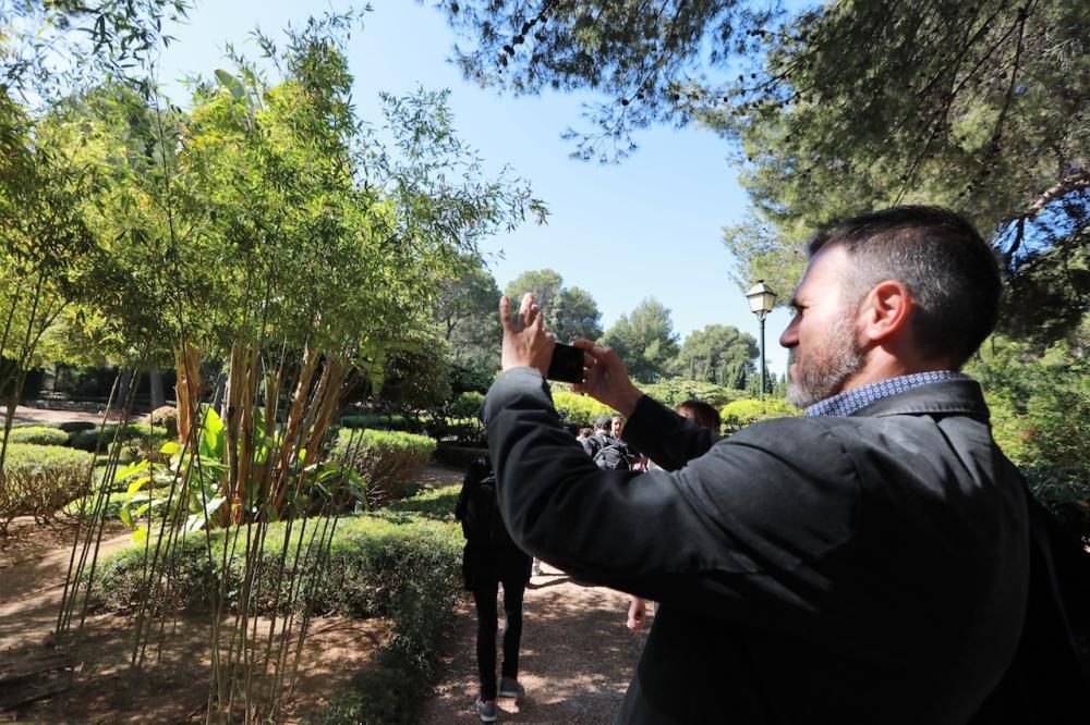 El Govern anuncia la apertura de los jardines de Marivent