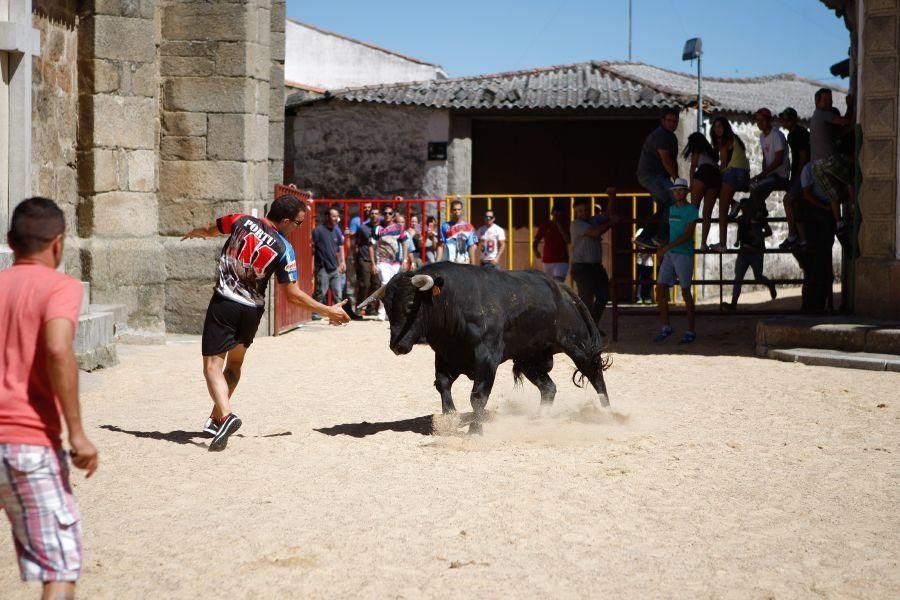 Encierro urbano en Bermillo de Sayago