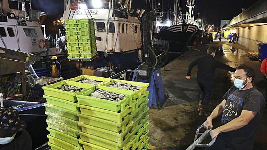 ¿Buscas trabajo y te gusta la mar? La rula de Avilés capta a marineros