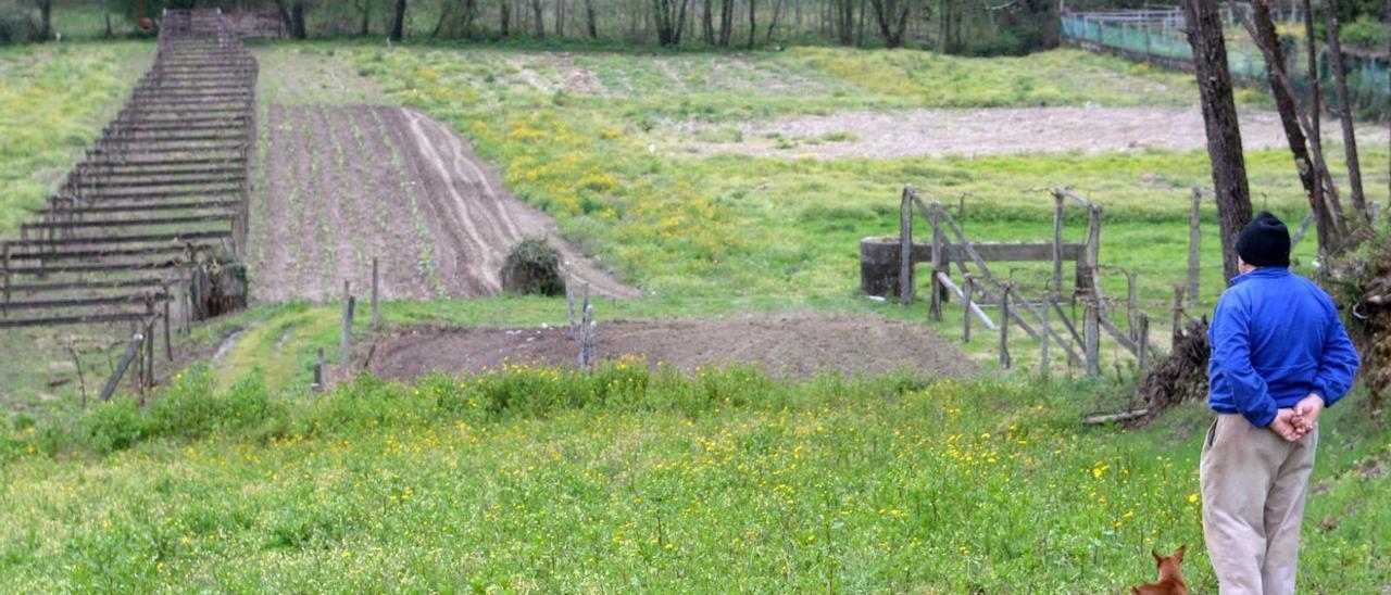 Un hombre pasea por un campo.  // Noe Parga