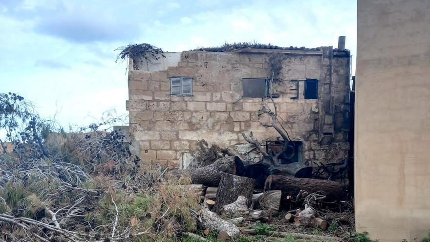 La Policía Local de Palma denuncia a los dueños de un solar por un incendio en el Arenal
