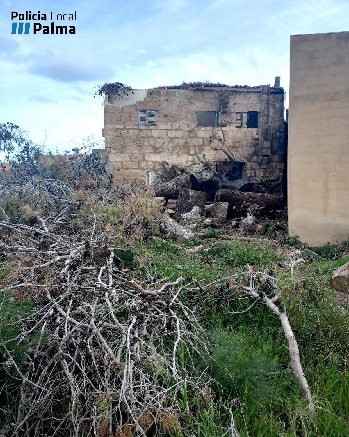 Solar incendiado en La Porcíncula de Palma, cuyo humo obligó a desalojar una vivienda contigua.