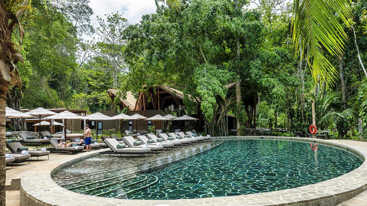 La piscina invita a relajarse rodeado de vegetación tropical.