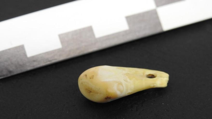 Un collar de 20.000 años permite reconstruir la historia de su dueña