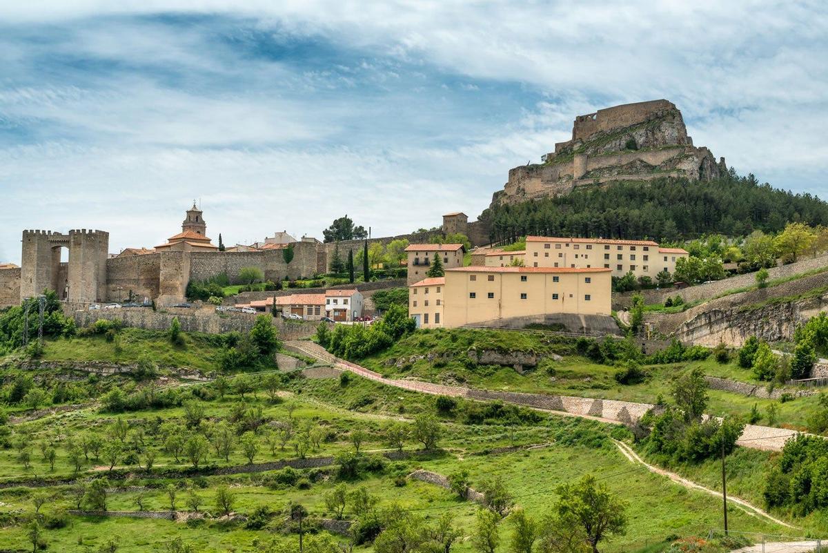 Morella