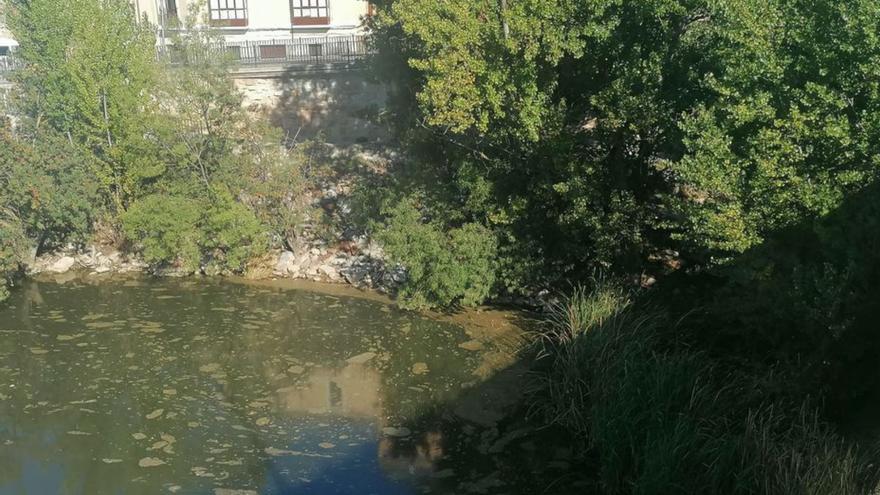 Vertidos contaminantes en el Duero, al pie del Puente de Piedra.