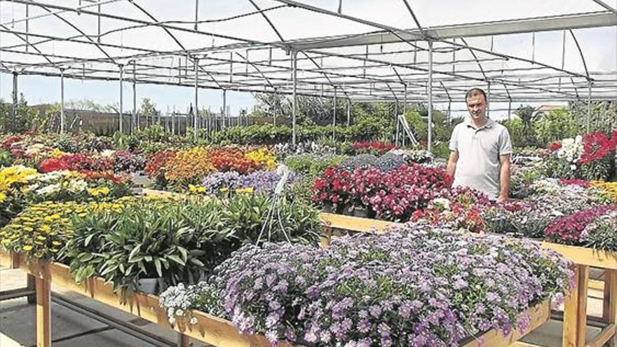 Prado Plantel abre su segundo centro de jardinería en la provincia de Cáceres