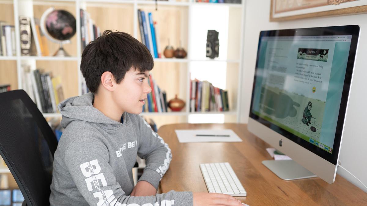 El colegio ha impartido las clases 100% online mediante la plataforma virtual Newton Online