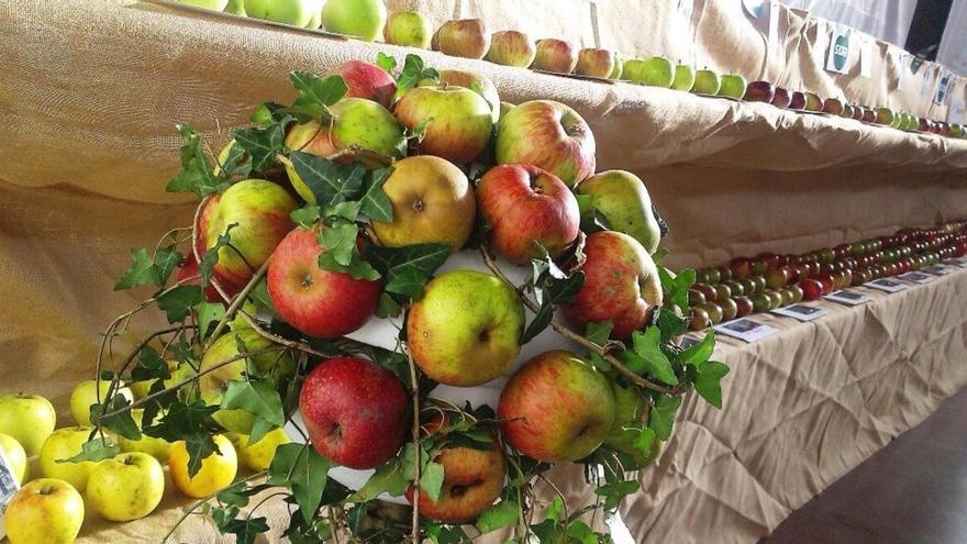 Descubre los productos típicos de Villaviciosa: sidra, manzana y mucho más