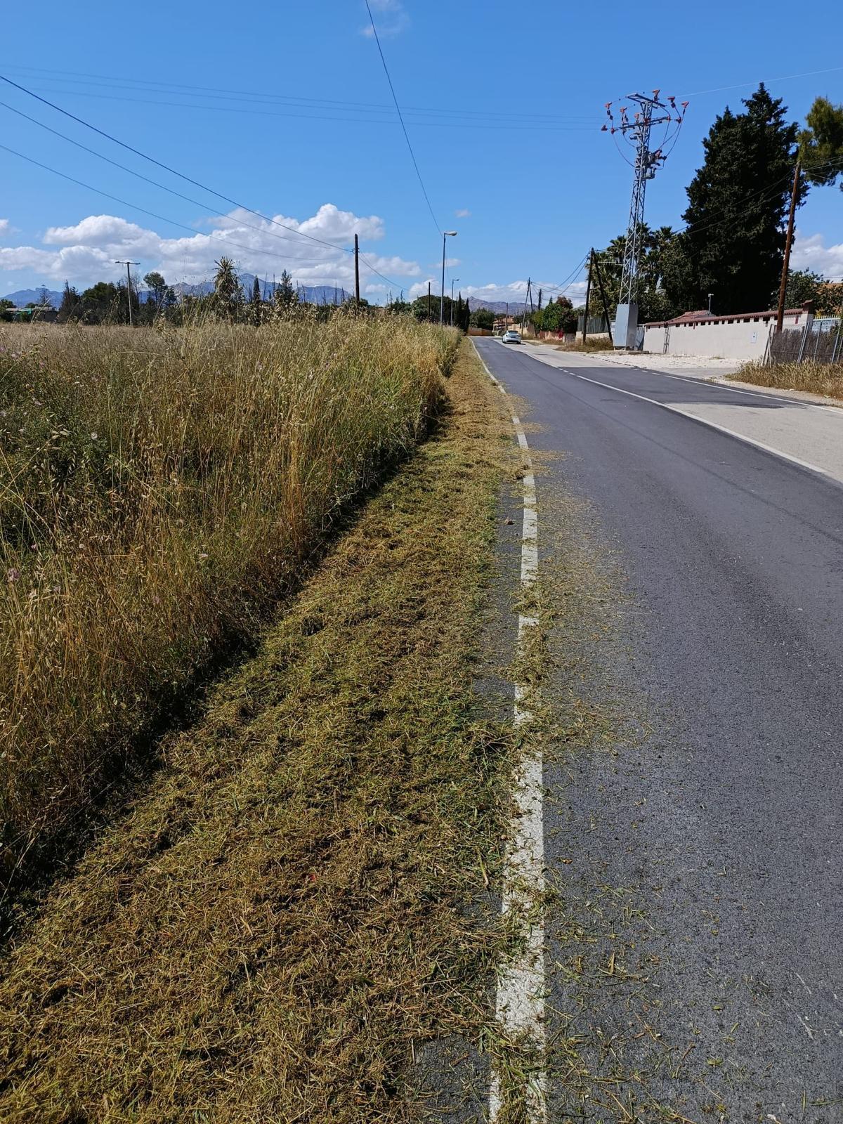 Desbroce en un camino de San Vicente