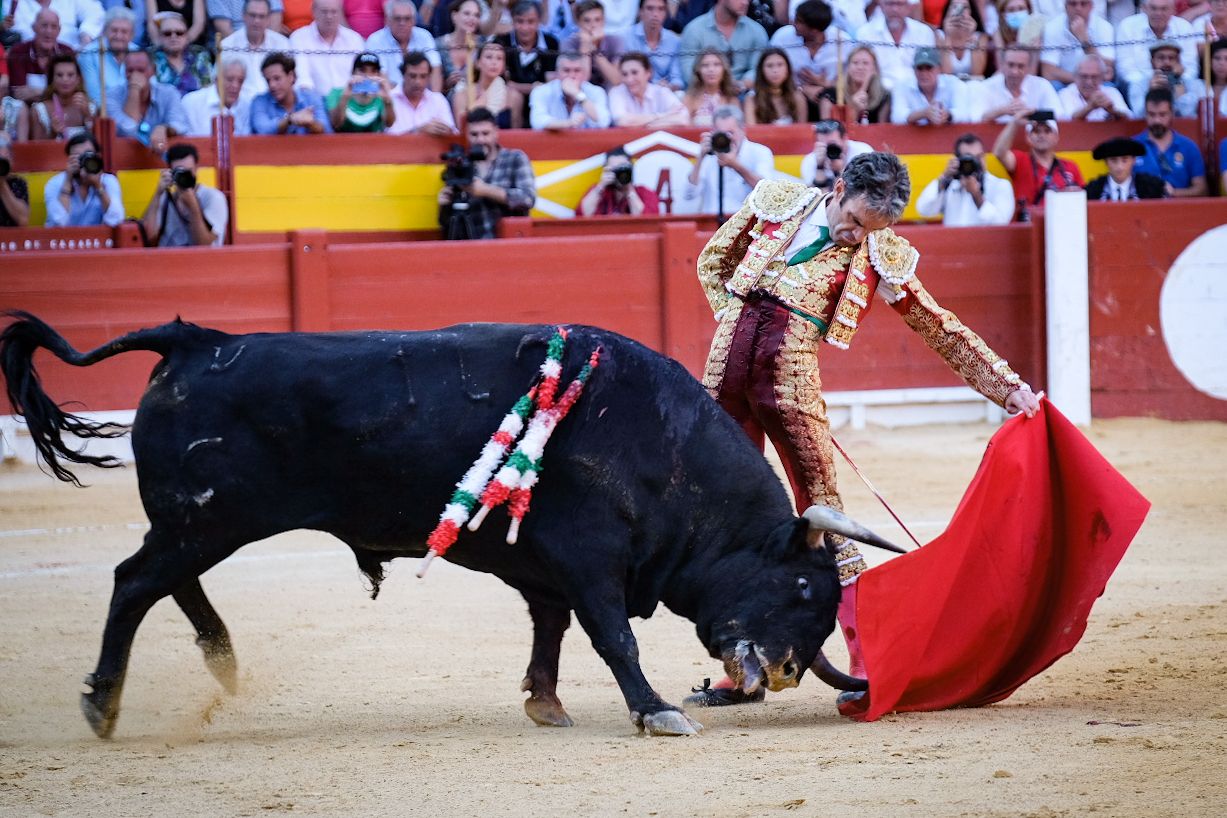 La tauromaquia de José Tomás en Alicante, en imágenes