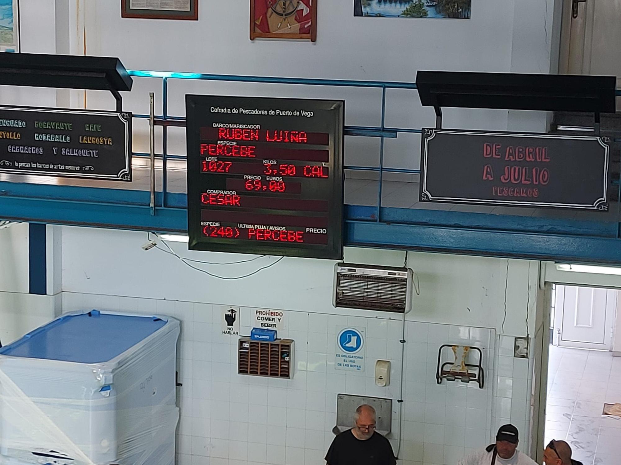 En imágenes: La primera subasta de percebe de la temporada en la rula de Puerto de Vega