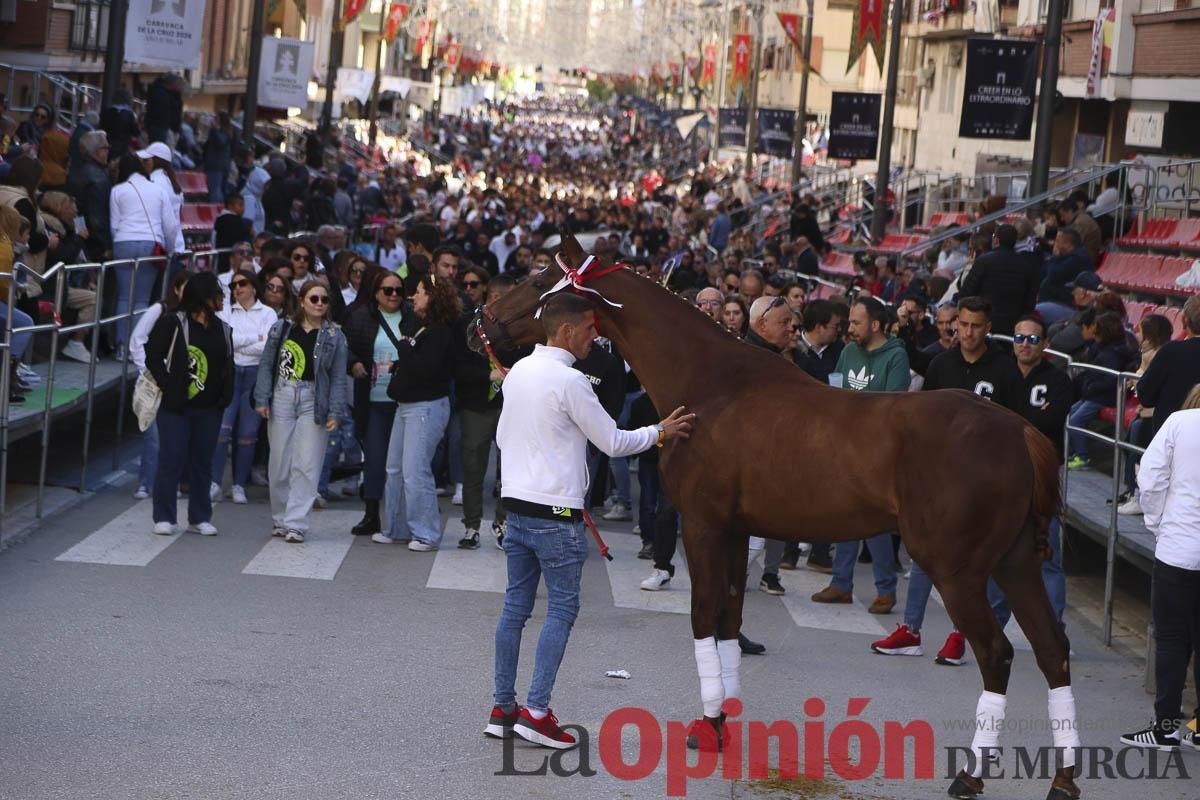 Concurso de caballo a pelo: pasacalles hasta el Hoyo en Caravaca