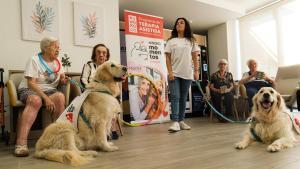 Un taller de terapia asistida con perros para combatir la soledad y el envejecimiento en la residencia Amavir, en Madrid