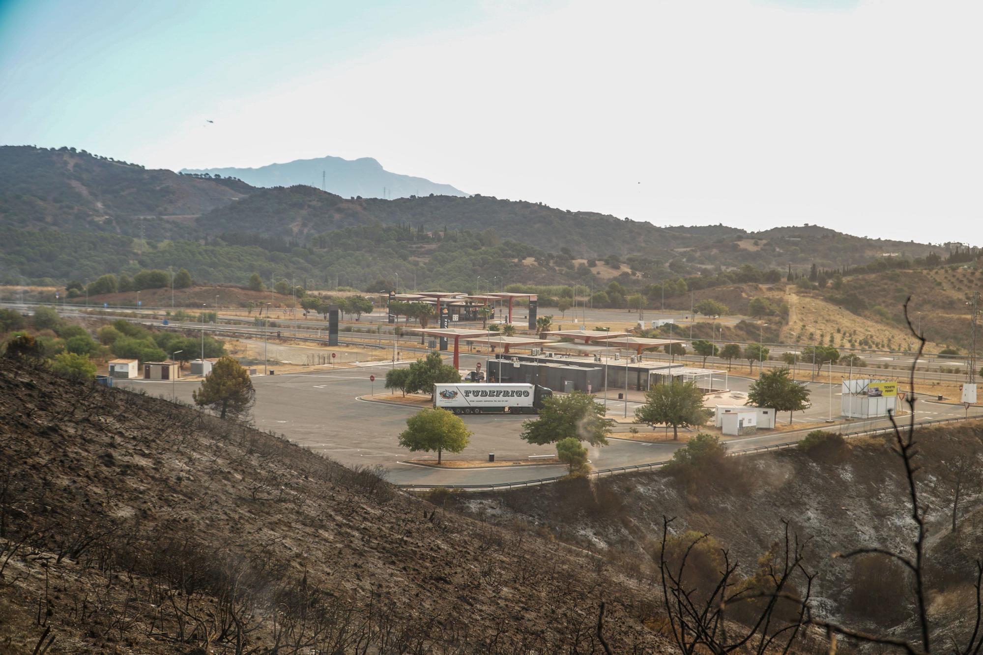 Un incendio en Sierra Bermeja afecta a Jubrique, Genalguacil y Estepona