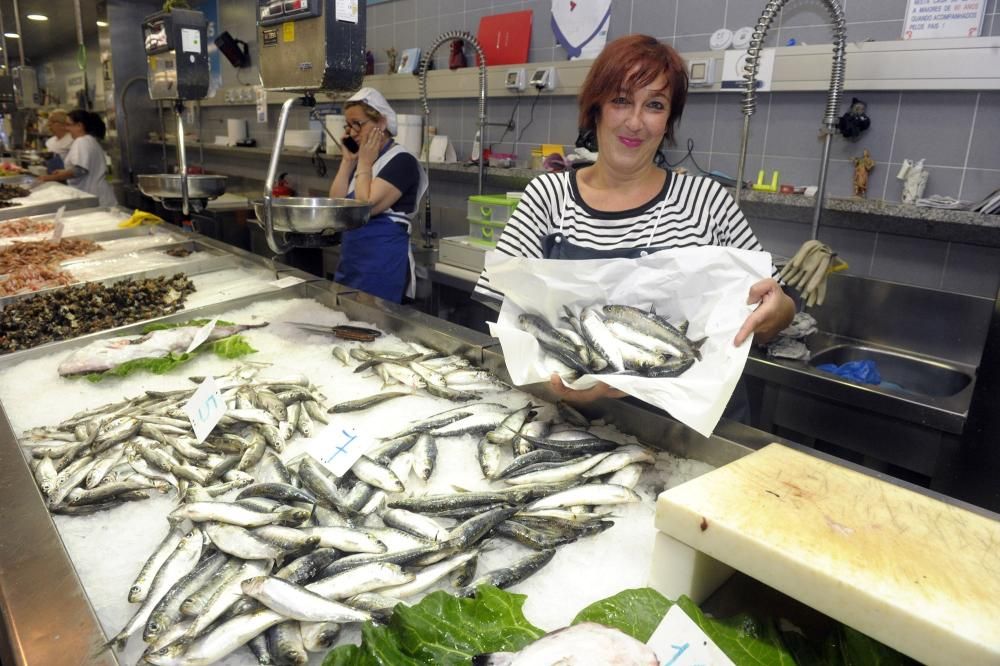 Pocas sardinas en A Coruña en vísperas de San Juan