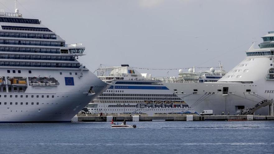 &quot;Qualitätstourismus&quot;: Einzelhändler fordern mehr Kreuzfahrtschiffe auf Mallorca