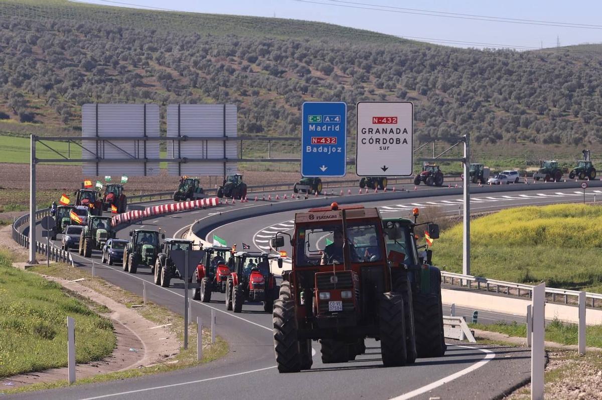 Tractorada de camino a Córdona (Andalucía).