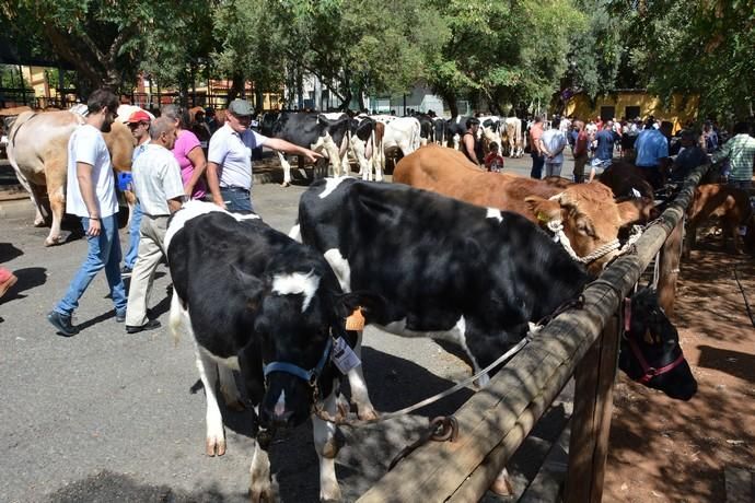 Feria de ganado, misa y procesión de San Miguel