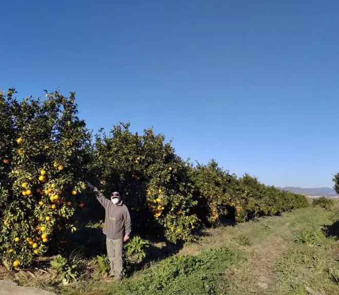 El TSJA admite el recurso de los vecinos de Vega de Mestanza